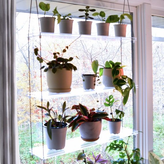 Clear Acrylic Window Plant Shelf Hanging Plant Shelf Indoor – Etsy For Clear Plant Stands (View 2 of 15)