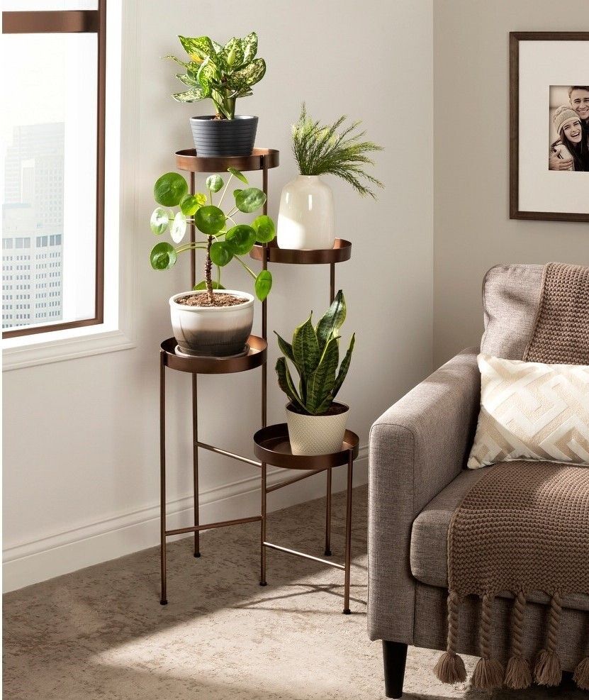Corner Plant Stands Indoor – Ideas On Foter Within Bronze Small Plant Stands (View 11 of 15)
