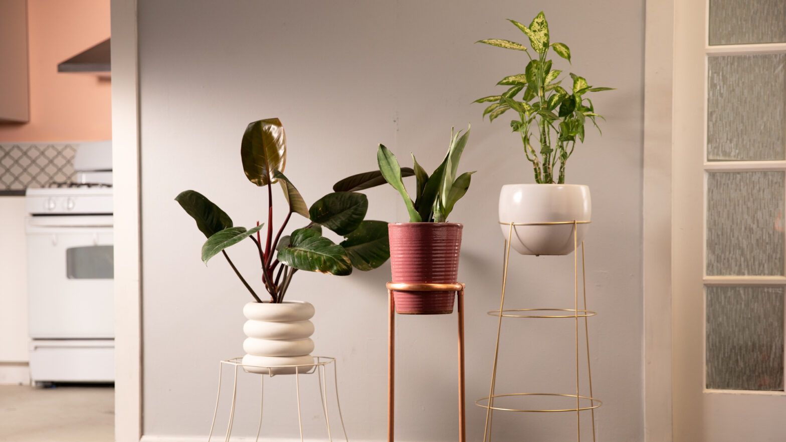 Diy Modern Plant Stands 3 Ways In 15 Minutes Or Less | Geico Living Within Modern Plant Stands (View 12 of 15)
