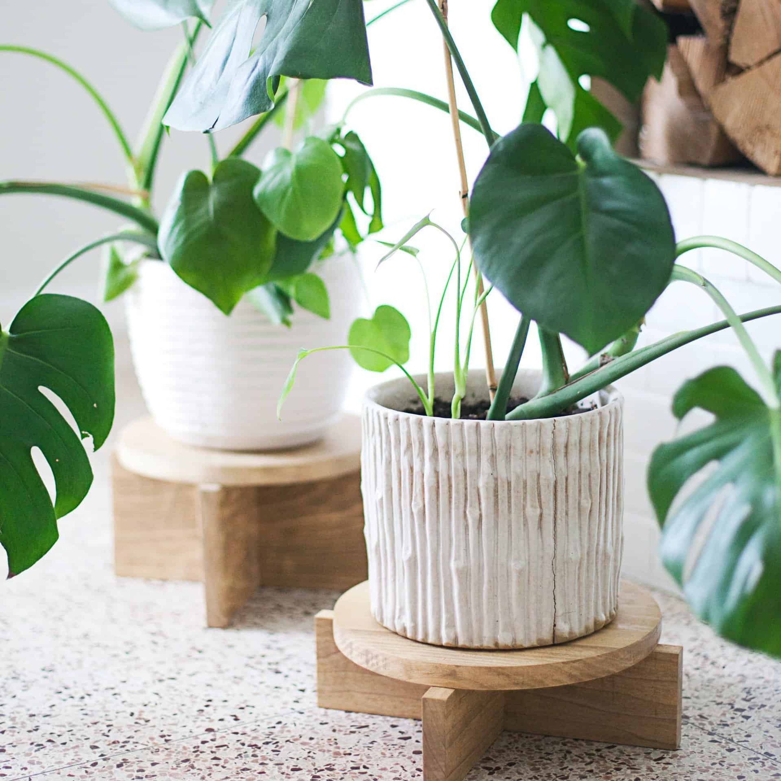 Diy Modern Wood Plant Stands – A Beautiful Mess In Wood Plant Stands (View 3 of 15)