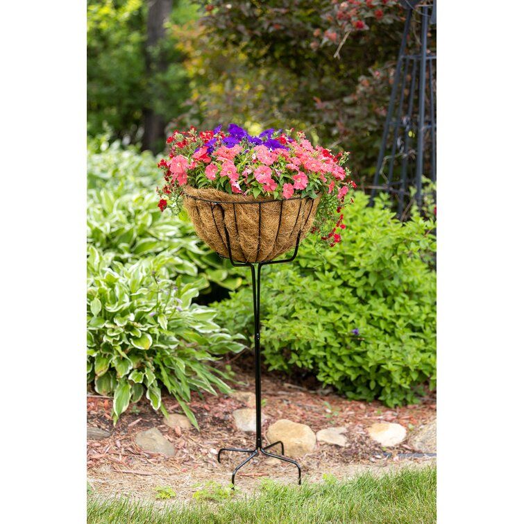 Ebern Designs Addylan Plant Stand & Reviews | Wayfair In 14 Inch Plant Stands (View 6 of 15)