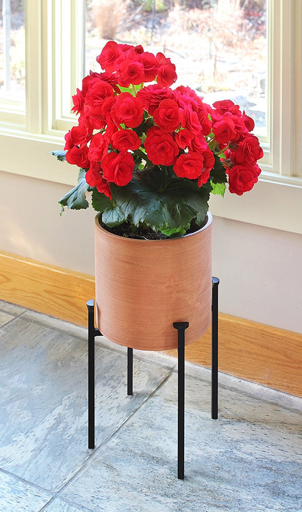 Ebern Designs Martamique Plant Stand & Reviews | Wayfair In Red Plant Stands (View 15 of 15)