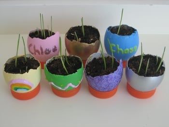 Eggshell Planters | Activity | Education Within Eggshell Plant Stands (View 12 of 15)
