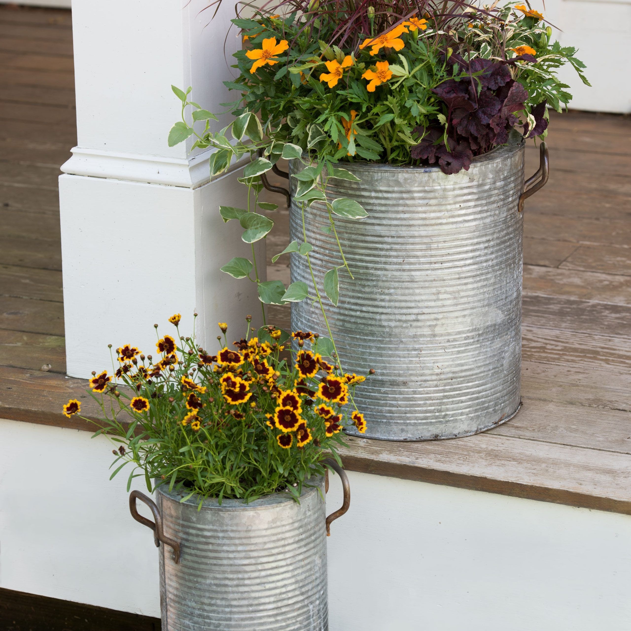 Galvanized Metal Planters With A Rim And Handles | Gardeners Intended For Galvanized Plant Stands (View 6 of 15)