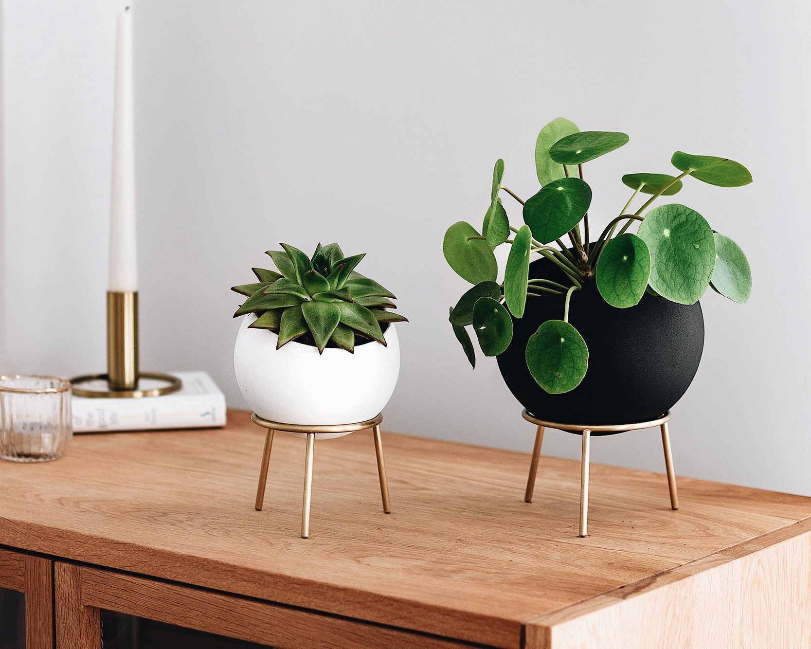 Globe Sphere Table And Floor Planters With Brass Stand – Etsy Throughout Globe Plant Stands (View 7 of 15)