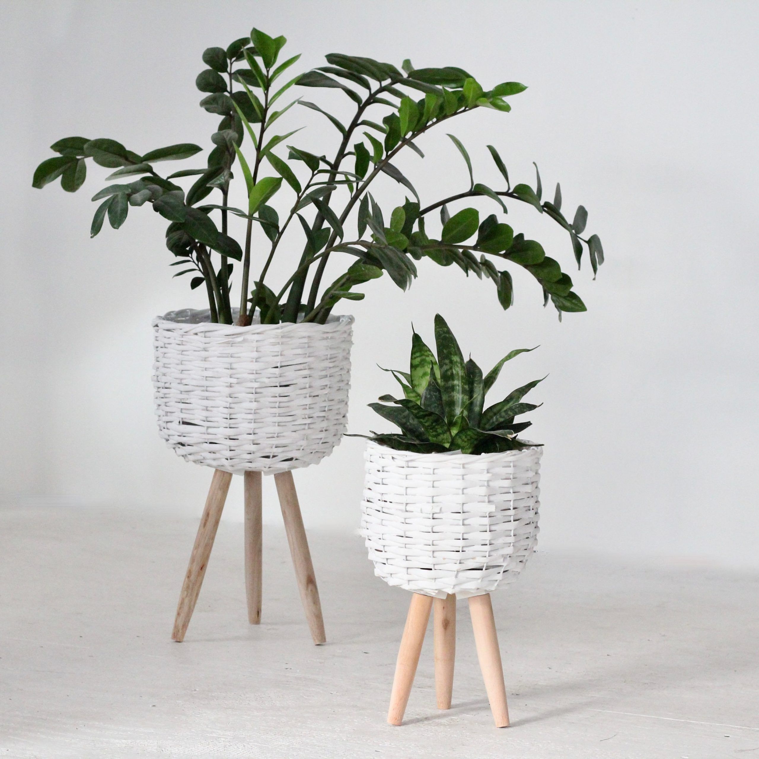 Gray Plant Stand – Etsy With Regard To Ancient Grey Plant Stands (View 9 of 15)