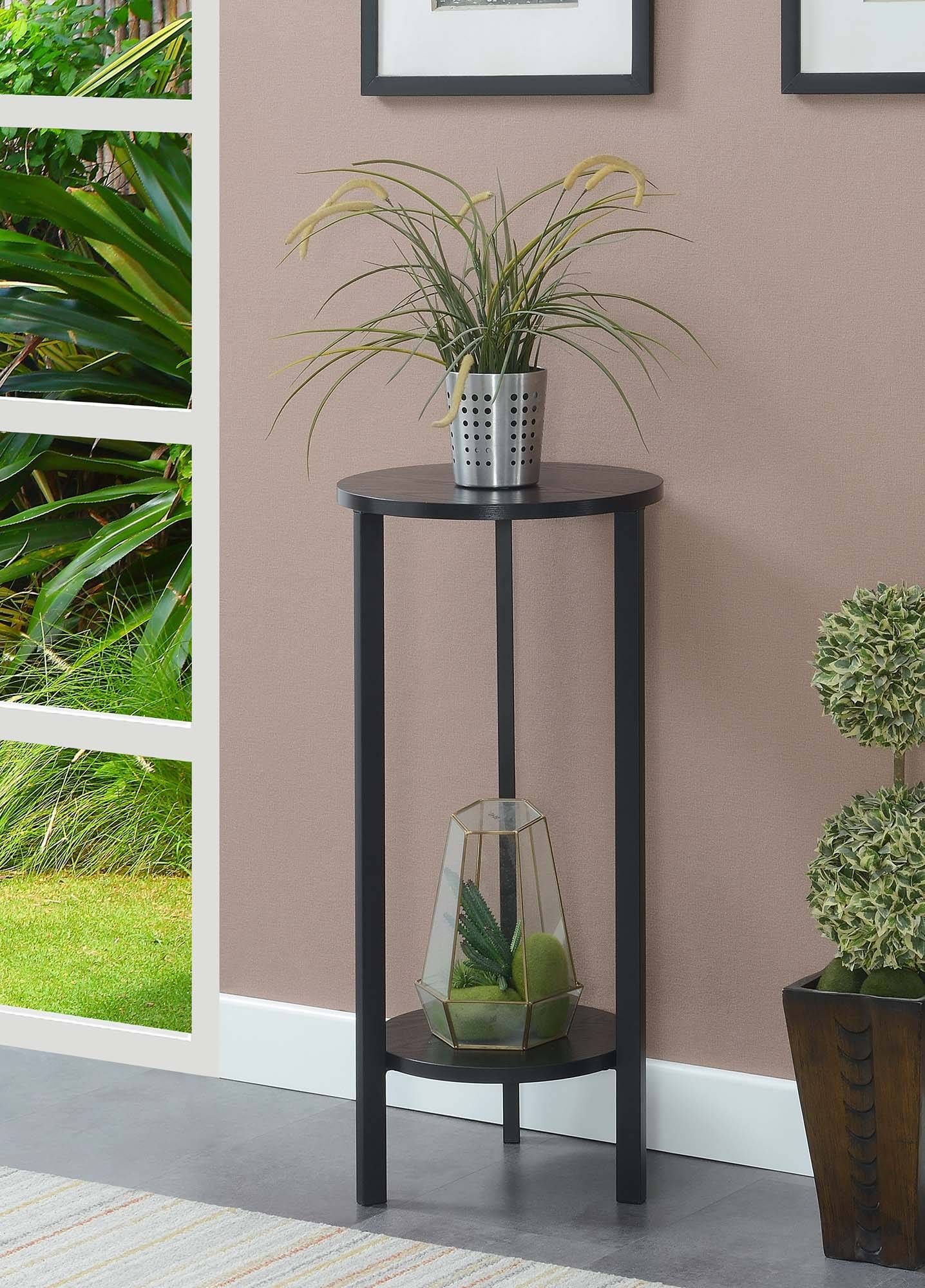 Graystone 31 Inch Plant Stand In Black – Convenience Concepts 111253Blbl In 31 Inch Plant Stands (View 3 of 15)