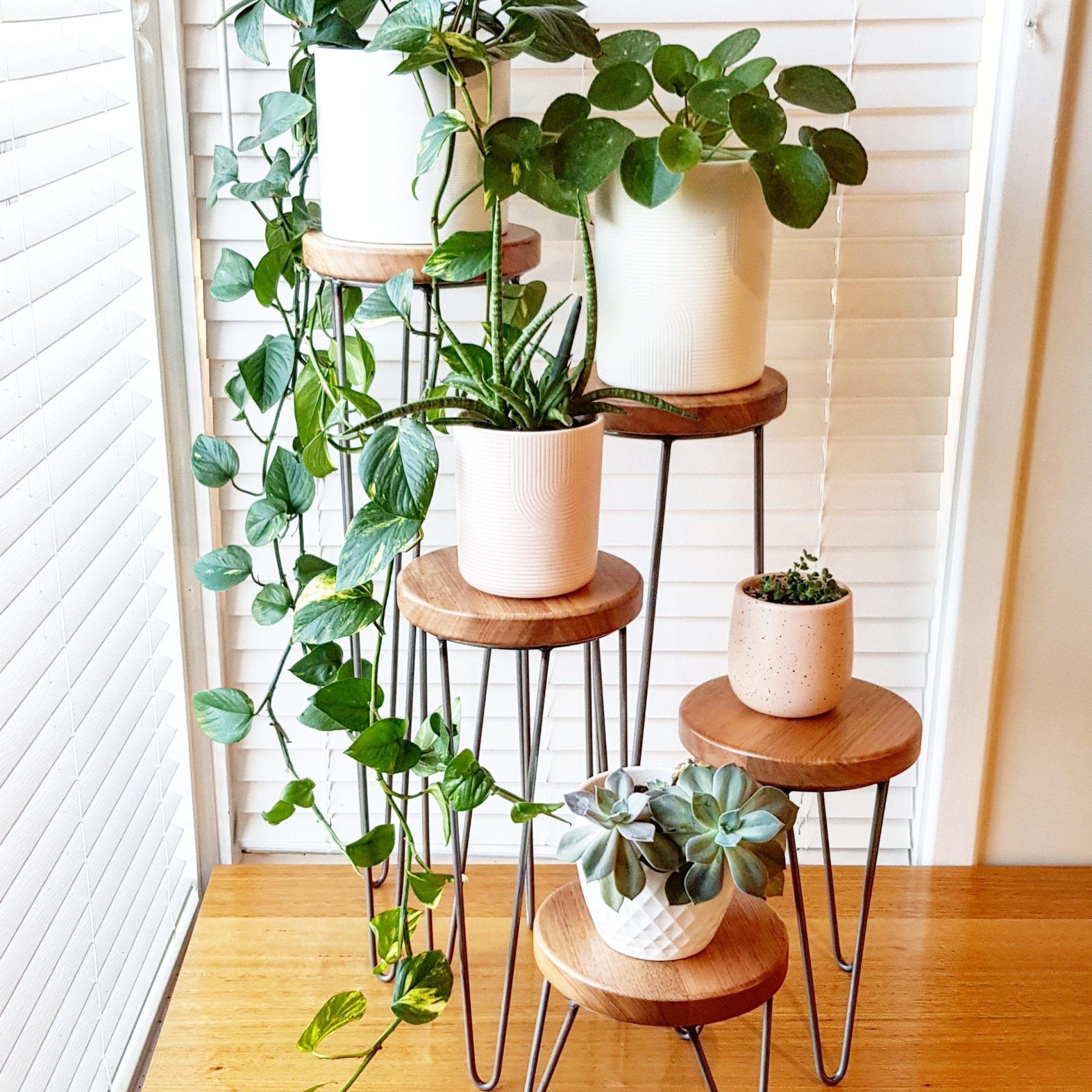 Harper Hairpin Leg Plant Stand Metal Plant Stand Plant – Etsy Intended For Plant Stands With Table (View 6 of 15)