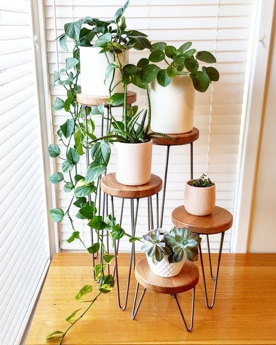 Harper Hairpin Leg Plant Stand Metal Plant Stand Plant – Etsy With Plant Stands With Side Table (View 2 of 15)