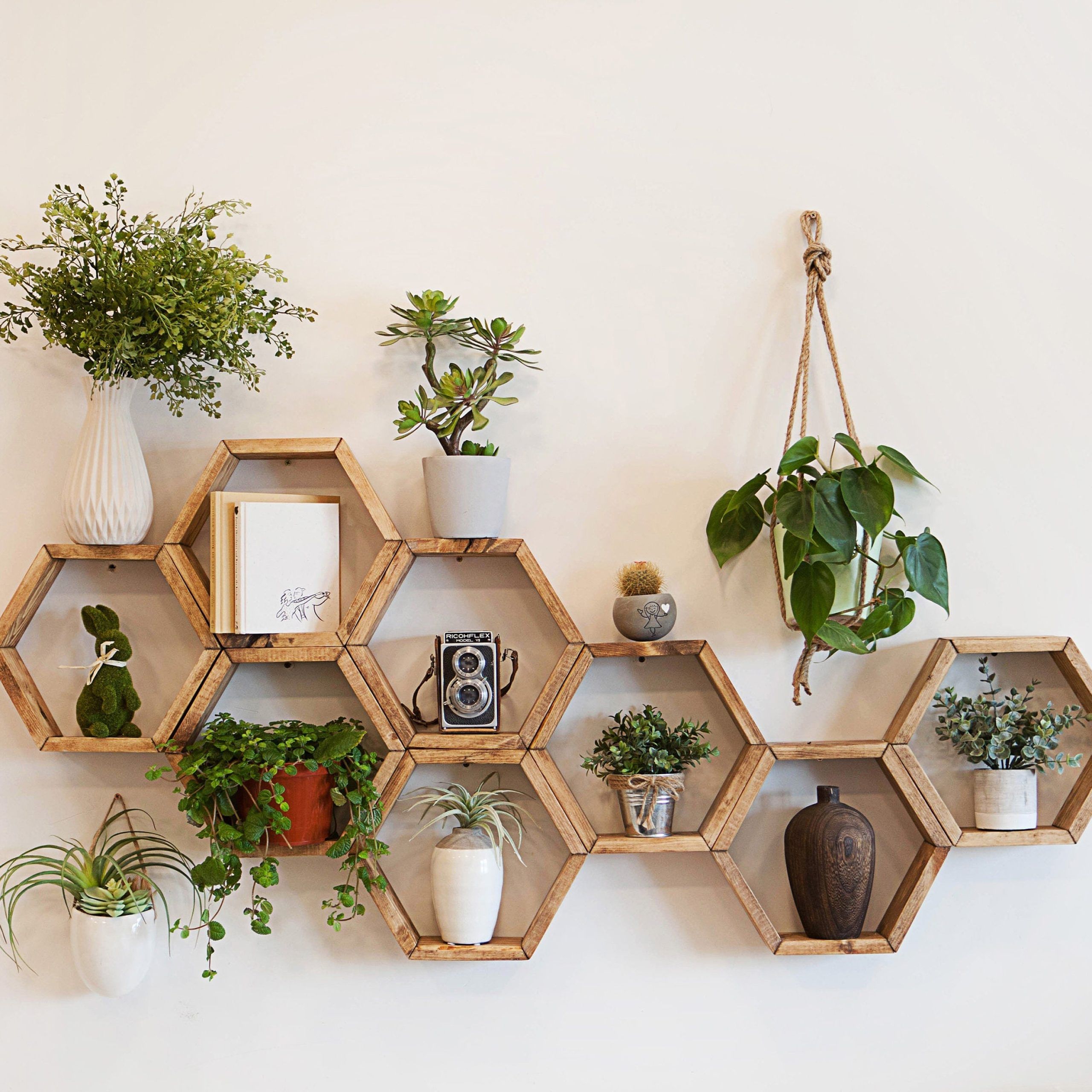 Hexagon Plant Shelf – Etsy Intended For Hexagon Plant Stands (View 6 of 15)