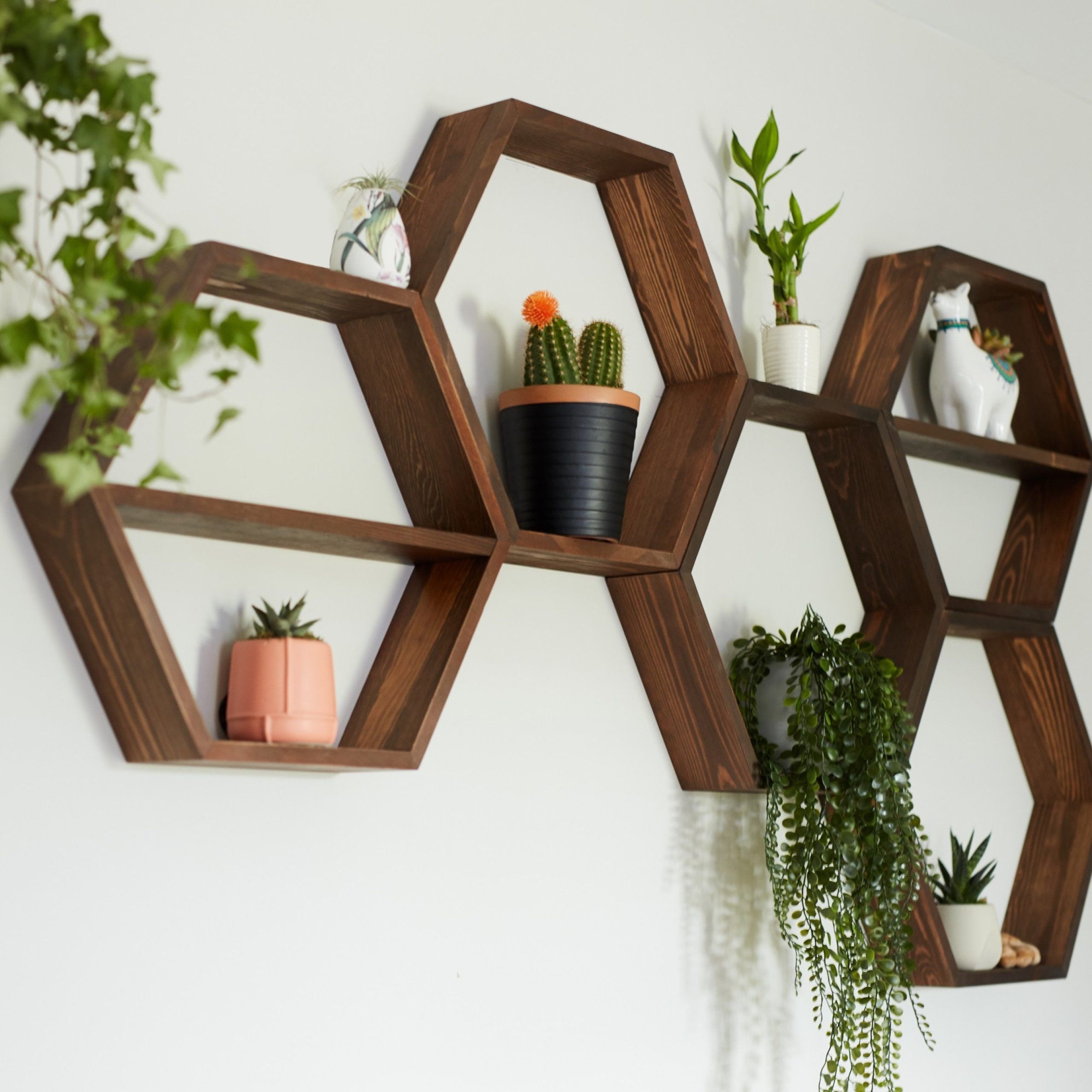 Hexagon Plant Shelf – Etsy Within Hexagon Plant Stands (View 13 of 15)