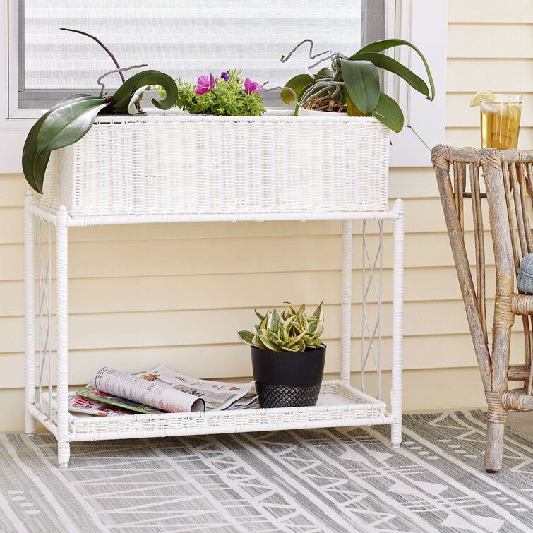 Highland Dunes Garza Resin Elevated Planter & Reviews | Wayfair Pertaining To Resin Plant Stands (View 14 of 15)