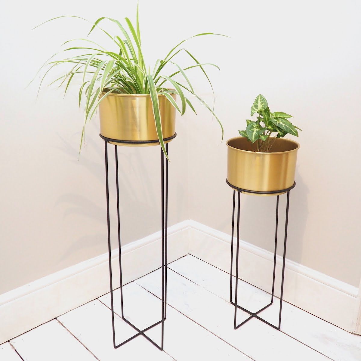 Indoor Gold Plant Stand – Two Sizes – Zaza Homes With Gold Plant Stands (View 9 of 15)