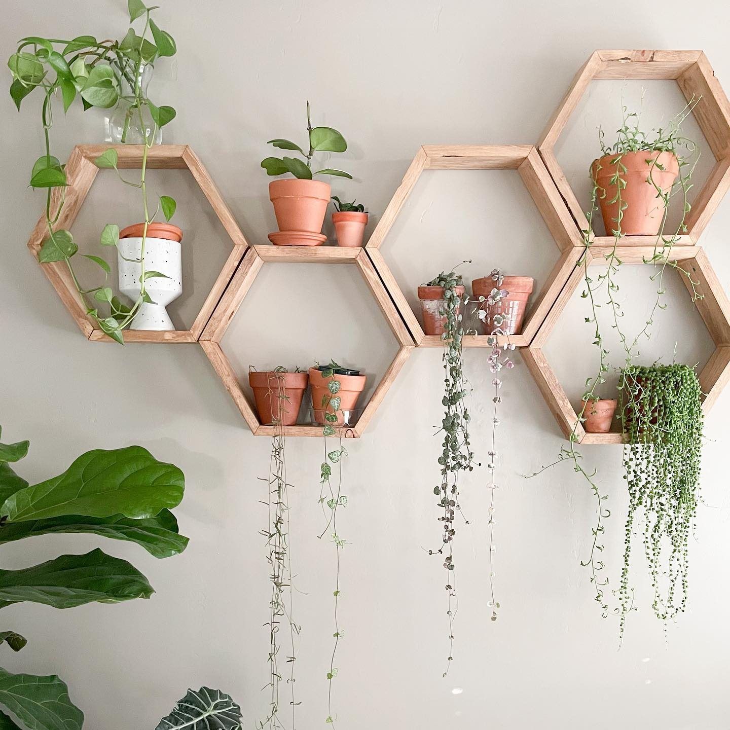 Indoor Plant Shelf Ideas To Make More Space For Green | The Family Handyman Within Hexagon Plant Stands (View 15 of 15)