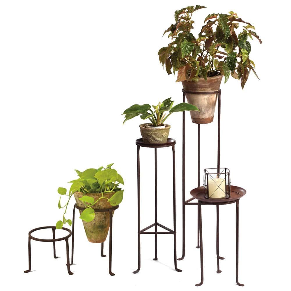 Iron Plant Stands – 8" Diameter – Campo De' Fiori – Naturally Mossed Terra  Cotta Planters, Carved Stone, Forged Iron, Cast Bronze, Distinctive  Lighting, Zinc And More For Your Home And Garden (View 2 of 15)