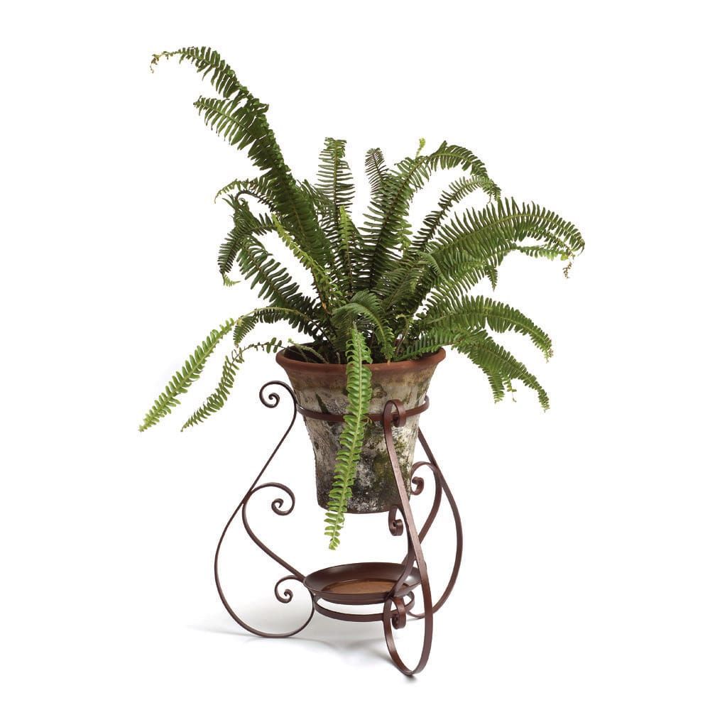 Iron Sevilla Plant Stand – Campo De' Fiori – Naturally Mossed Terra Cotta  Planters, Carved Stone, Forged Iron, Cast Bronze, Distinctive Lighting,  Zinc And More For Your Home And Garden (View 8 of 15)