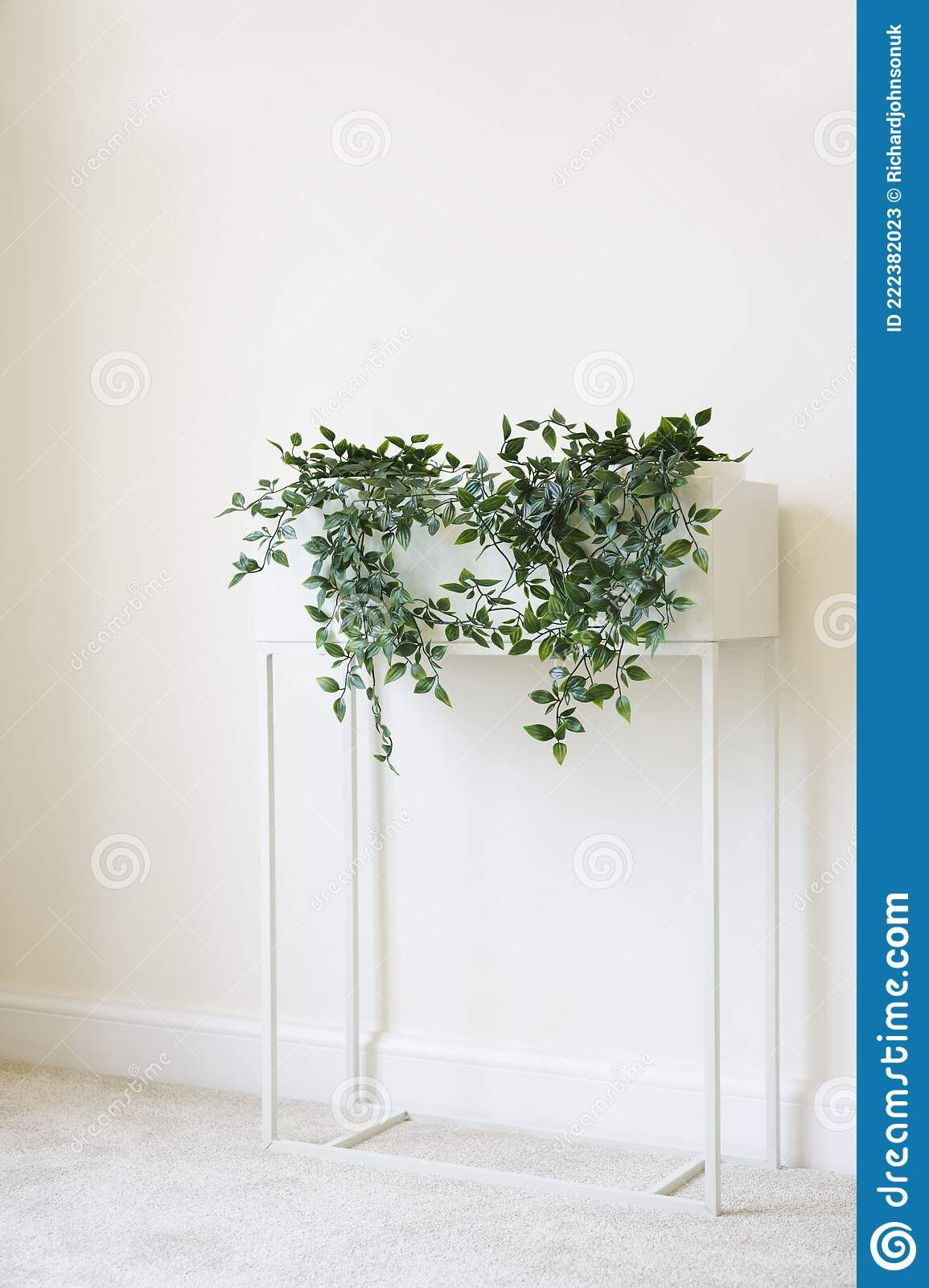 Ivy Green Plant In White Plant Stand And Neutral Decor Home Stock Image –  Image Of Wall, Exotic: 222382023 Regarding Ivory Plant Stands (View 10 of 15)