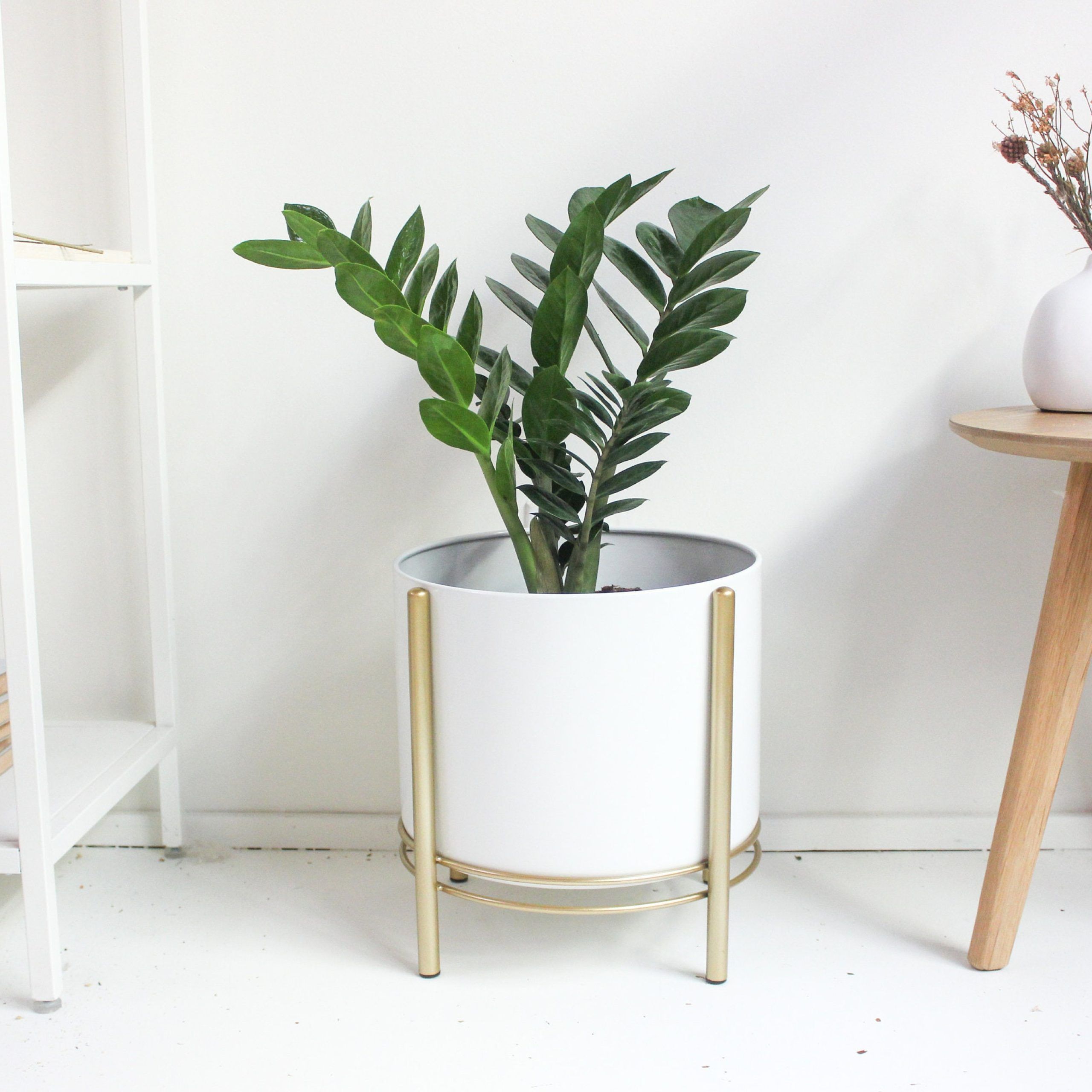 Large White Standing Planter Pot With Modern Gold Plant Stand – Etsy Italia Inside Gold Plant Stands (View 2 of 15)