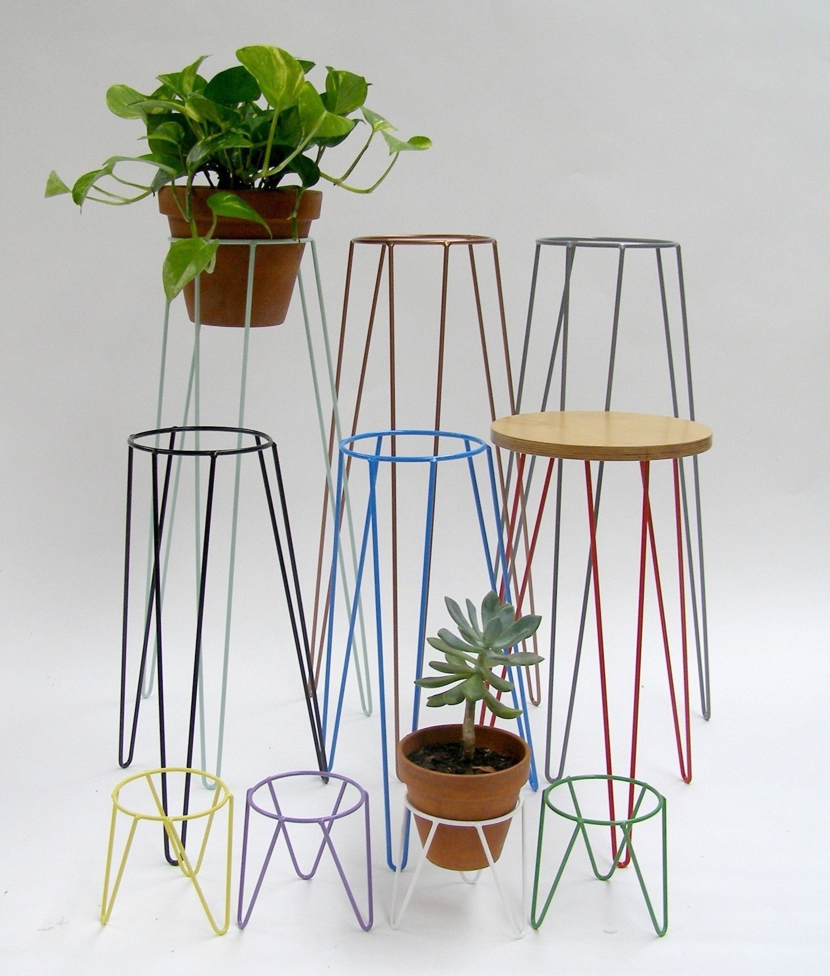 Metal Plant Stand – Ideas On Foter Regarding Metal Plant Stands (View 12 of 15)