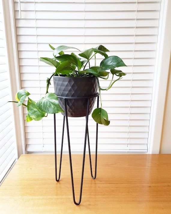 Milla Hairpin Leg Plant Stand Hoop Plant Stand Metal Plant – Etsy Uk Pertaining To Plant Stands With Flower Bowl (View 12 of 15)