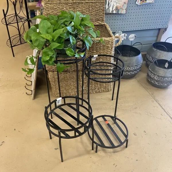 Modern Metal Plant Stand – Various Sizes › Anything Grows Within Metal Plant Stands (View 11 of 15)