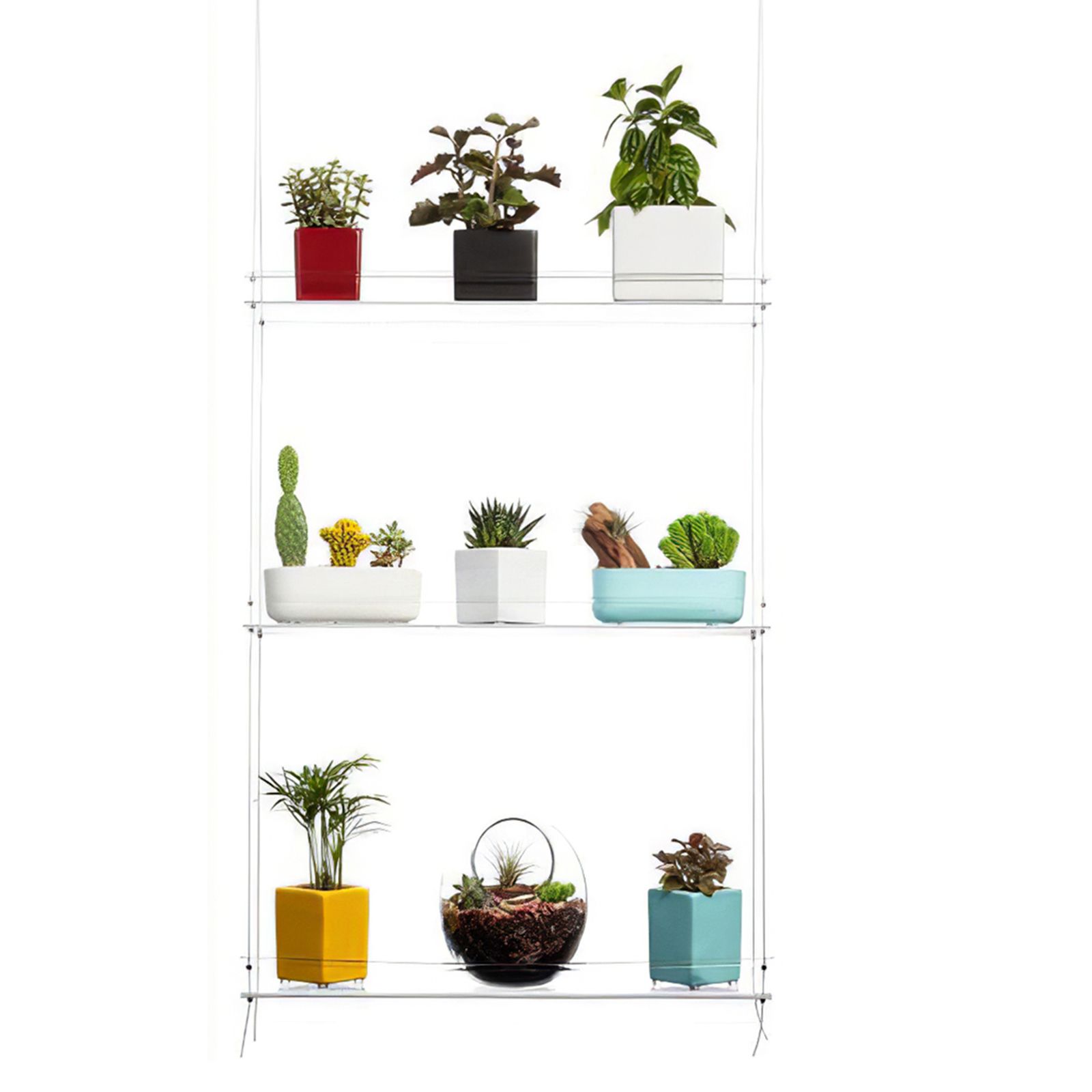 Multi Layer Flower Stand Rack Storage Acrylic Plant Holder Home Garden  Flower Pot Organizer Living Room Balcony Storage Rack – Plant Shelves –  Aliexpress In Acrylic Plant Stands (View 12 of 15)