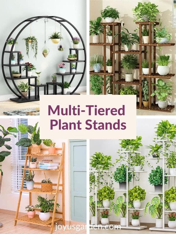 Multi Tier Plant Stands To Buy Online Inside 4 Tier Plant Stands (View 14 of 15)