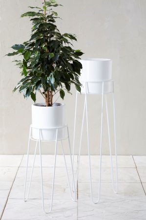Next Set Of 2 White Plant Stands – White | White Plants, Plant Stand,  Garden Furniture Sets Inside White Plant Stands (View 1 of 15)