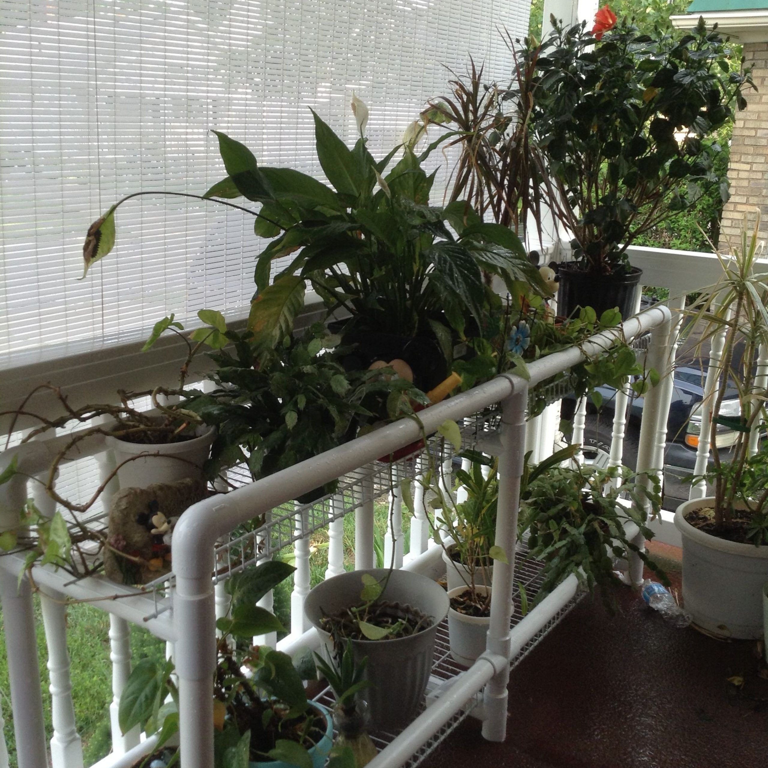 Pvc Plant Stand | Diy Plant Stand, Plant Stands Outdoor, Cool Plants Throughout Pvc Plant Stands (View 1 of 15)