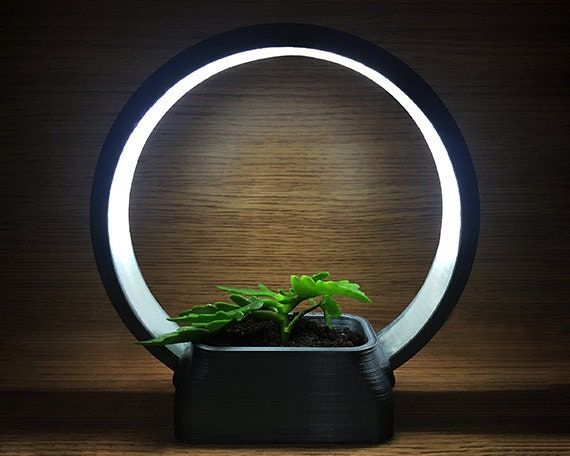 Ring Light Stand Indoor Plant Stand 3D Printed Ring Desk – Etsy Canada Regarding Ring Plant Stands (View 7 of 15)