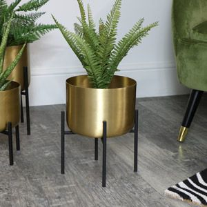 Round Gold Plant Stand – Medium With Regard To Medium Plant Stands (View 7 of 15)