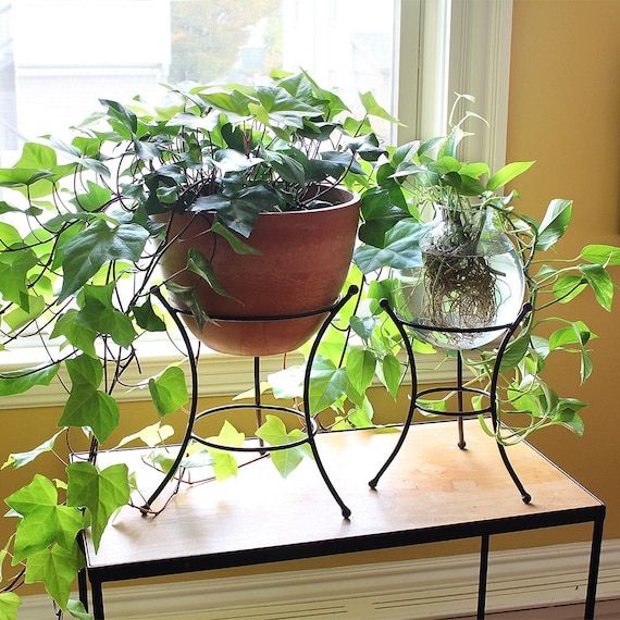Set Of Two Ball End Wrought Iron Plant Stands Indoor/Outdoor – Etsy (View 4 of 15)