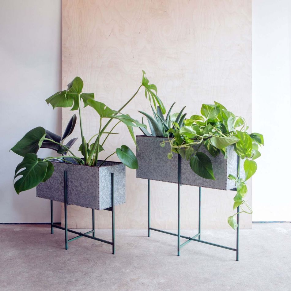 Set Of Two Rectangular Zinc Plant Stands | Graham & Green Within Green Plant Stands (View 7 of 15)