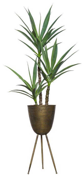 Skinny Yucca X 3 In Bronze Plant Stand – Lux Art Silks Inside Bronze Plant Stands (View 10 of 15)