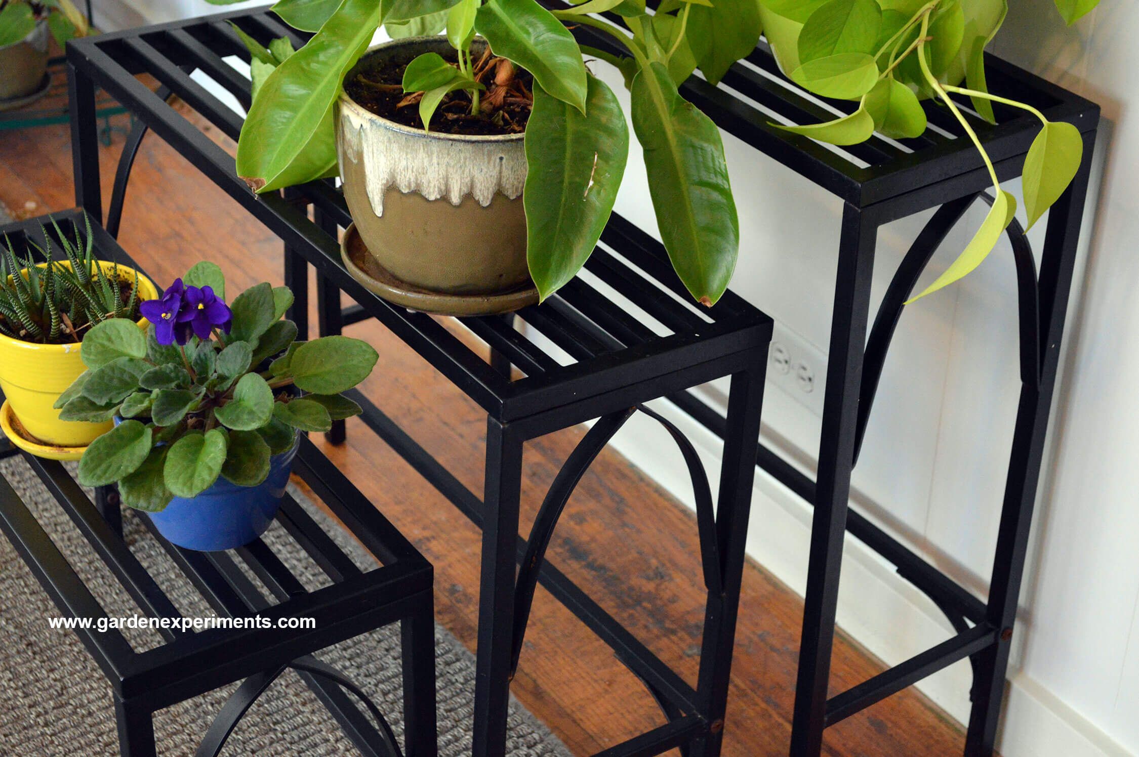 Sturdy Metal Plant Stand Holds 12 Plants Regarding Outdoor Plant Stands (View 6 of 15)