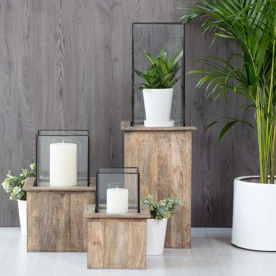 Terrarium/Pillar Solid Plant Stands – Sproutwell Decor For Pillar Plant Stands (View 13 of 15)