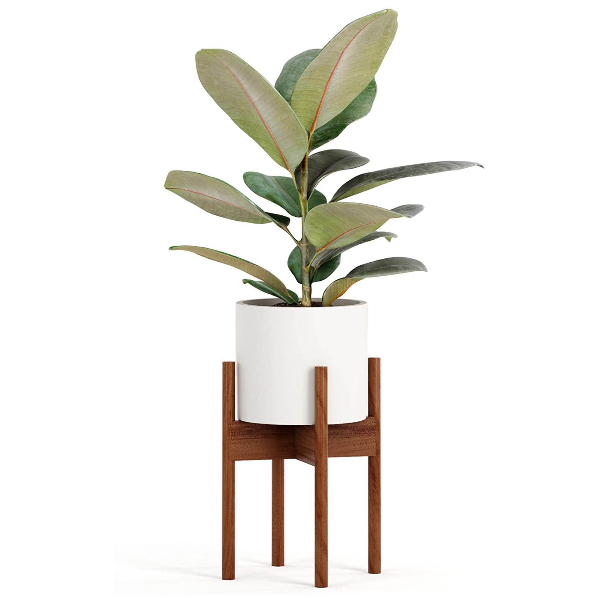 The 12 Best Plant Stands To Upgrade Your Space 2022 Intended For 10 Inch Plant Stands (View 8 of 15)
