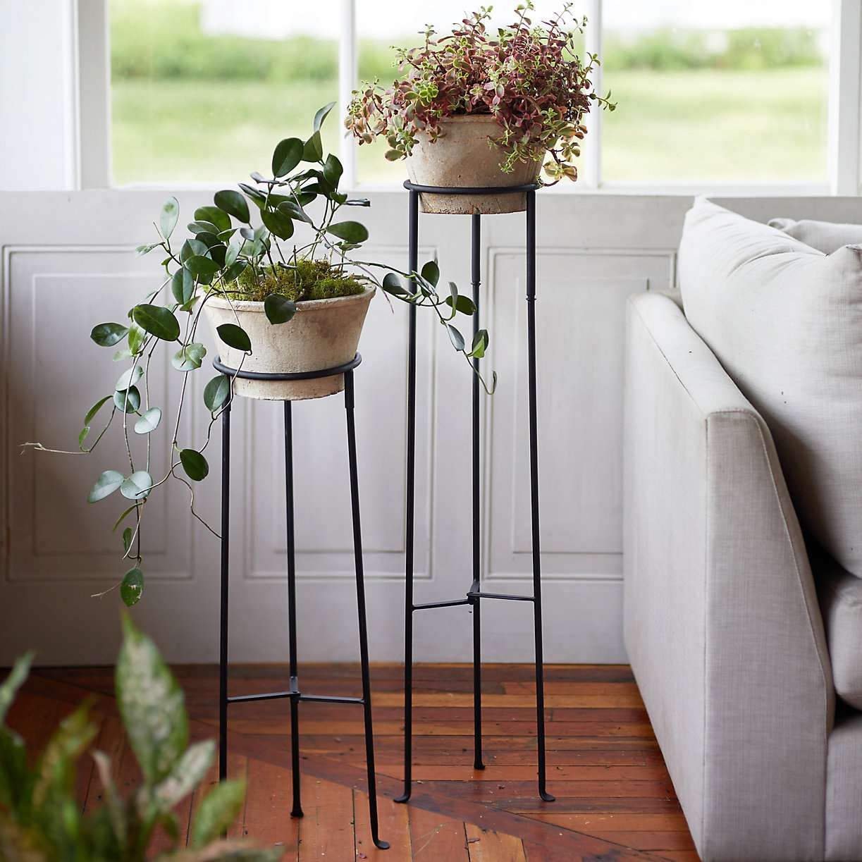 The 8 Best Plant Stands For Every Style Inside Tall Plant Stands (View 6 of 15)