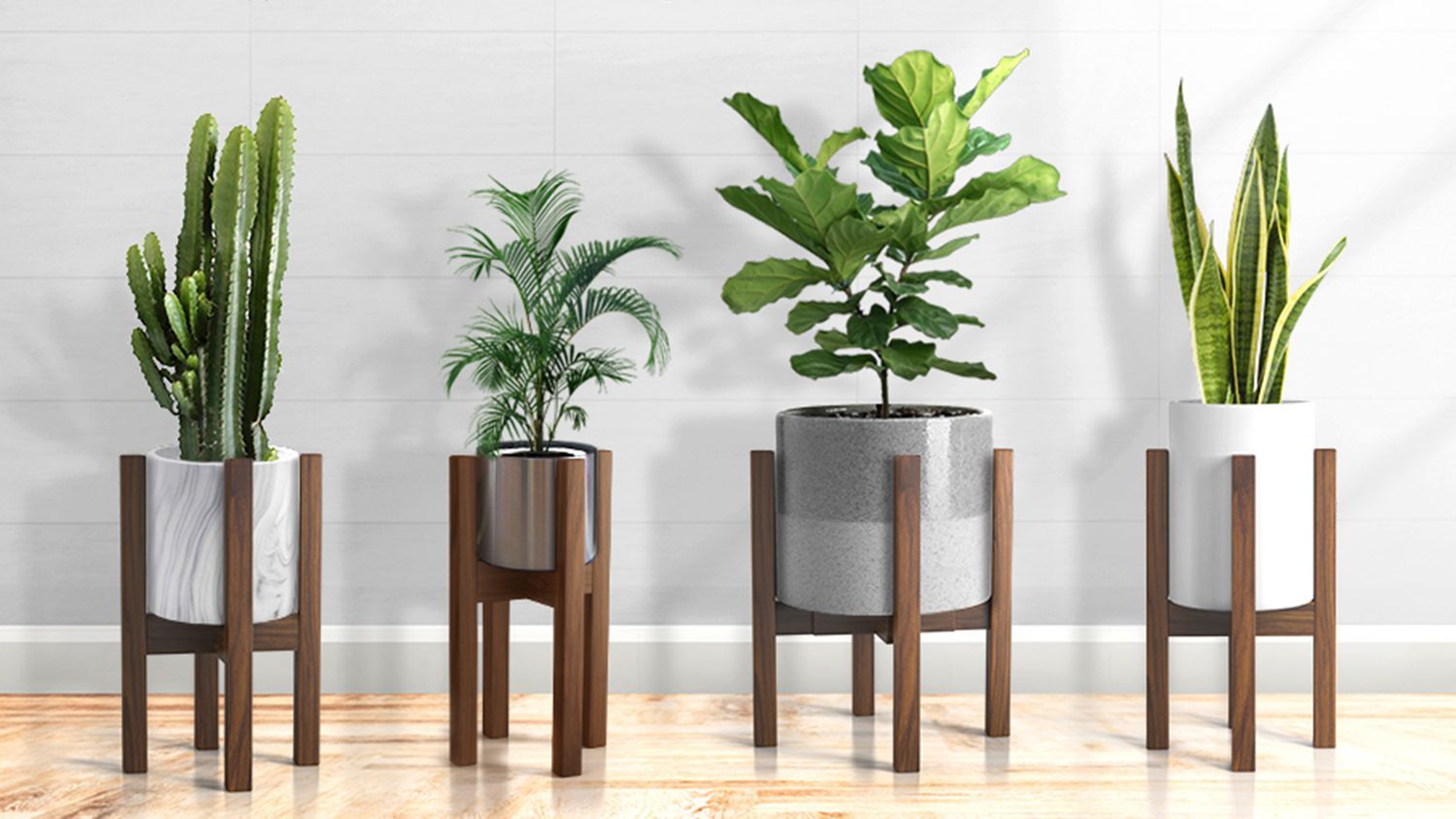 The 8 Best Plant Stands For Every Style With Regard To Indoor Plant Stands (View 6 of 15)