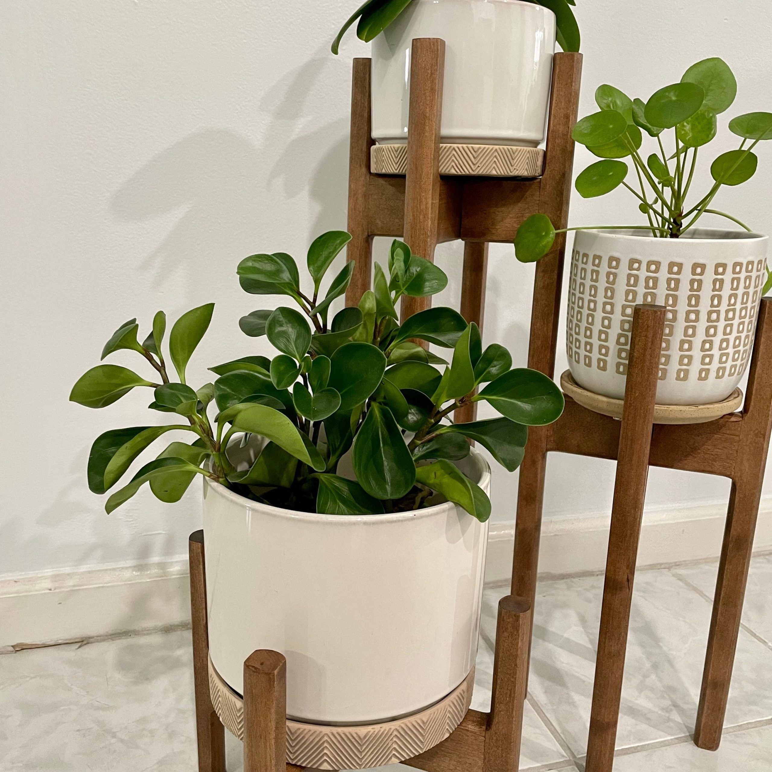 Three Tiered Plant Stand Hand Made Wabi Sabi Style Plant – Etsy Australia Within Three Tiered Plant Stands (View 14 of 15)