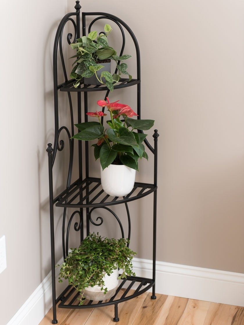 Toulouse Bakers Rack Corner Plant Stand Left | Gardener'S Supply Pertaining To Powdercoat Plant Stands (View 15 of 15)