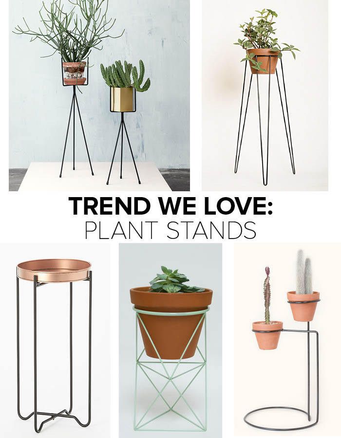 Trend We Love: Plant Stands – Trends We Love – Lonny Throughout Ring Plant Stands (View 2 of 15)