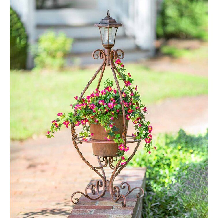Wind & Weather Antiqued Wrought Iron Plant Stand & Reviews | Wayfair In Ball Plant Stands (View 7 of 15)