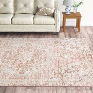Shabby Chic Rugs Pink | Wayfair Within Light Pink Rugs (View 5 of 15)