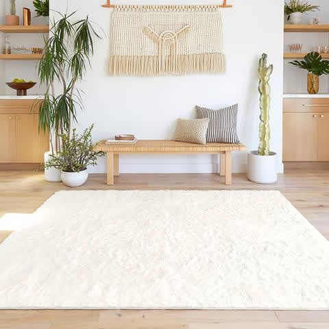 The Best, Softest Rugs Of 2022: Wayfair, Ruggable, Rugs Usa | Apartment  Therapy Intended For White Soft Rugs (Photo 8 of 15)