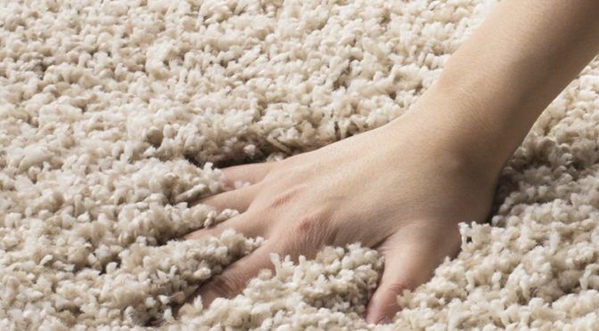 The Pros And Cons Of Frieze / Twist Carpets (And Shag Comparisons) | Pet My  Carpet Pertaining To Frieze Rugs (View 3 of 15)
