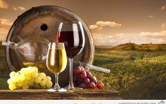 20 Collection of Wine and Grape Wall Art