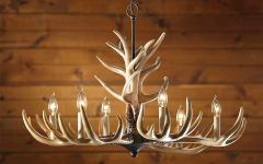 15 Collection of Antler Chandeliers and Lighting