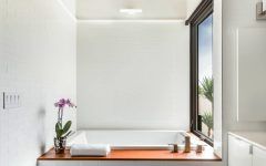 Modern Minimalist Bathroom with Vinyl Roof