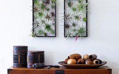 20 Collection of Air Plant Wall Art